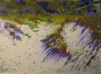Dunas de Montalvo 1